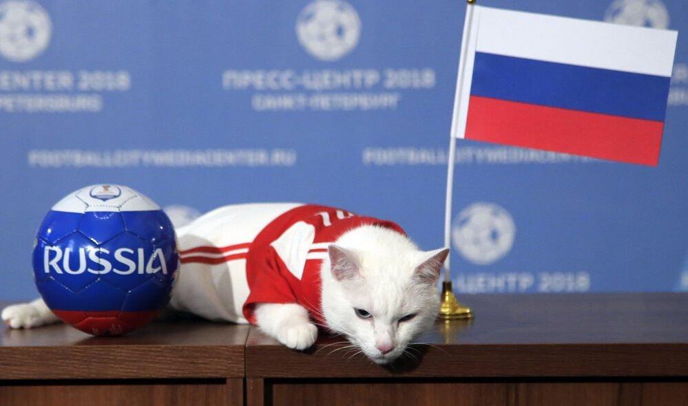 Trung Quốc dậy sóng vì mèo siêu đắt của Nga bị cấm-2