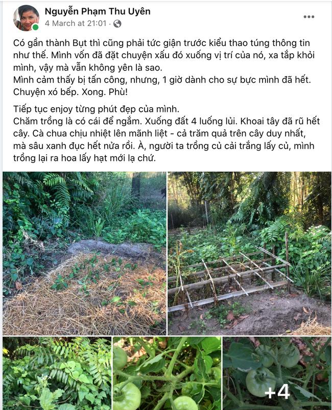 Đang sống yên bình, BTV Thu Uyên đăng status ẩn dụ bị tấn công-2