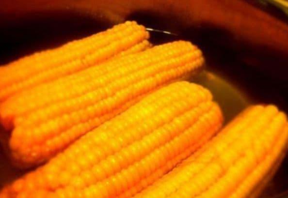 Ai ngờ nước ngô luộc có thể giải quyết vô vàn rắc rối của loài người-1