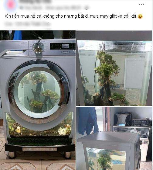 Xin vợ mua bể cá không được, chồng lấy hẳn máy giặt ra chơi sợ gì-1