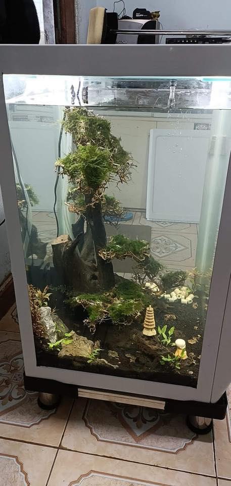 Xin vợ mua bể cá không được, chồng lấy hẳn máy giặt ra chơi sợ gì-3