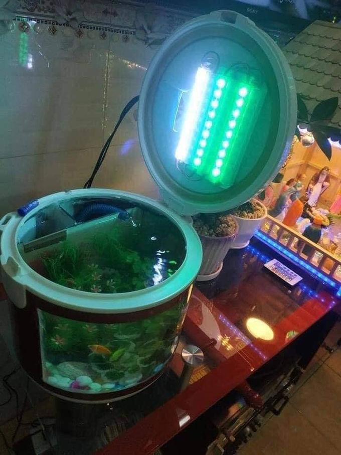 Xin vợ mua bể cá không được, chồng lấy hẳn máy giặt ra chơi sợ gì-5