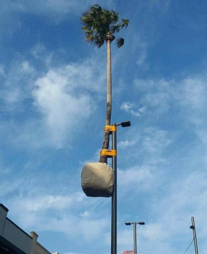 Vài thứ không thể tin nổi khi chúng ta va phải trên đường đời-1