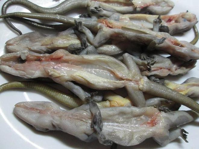 Quán quân du lịch Việt có đặc sản sinh vật khiếp sợ không thể ngờ-2