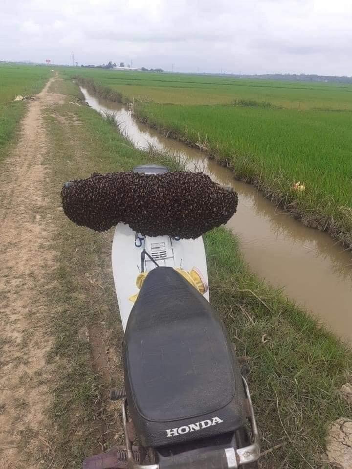 Vứt xe giữa đồng, thanh niên rùng mình hoảng loạn khi nhìn thấy xe-2