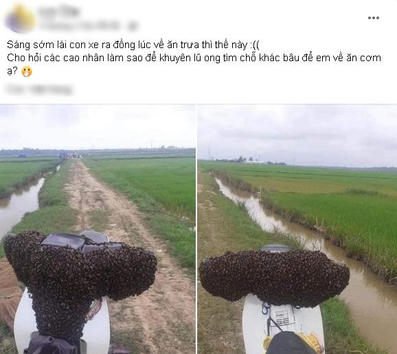 Vứt xe giữa đồng, thanh niên rùng mình hoảng loạn khi nhìn thấy xe-1