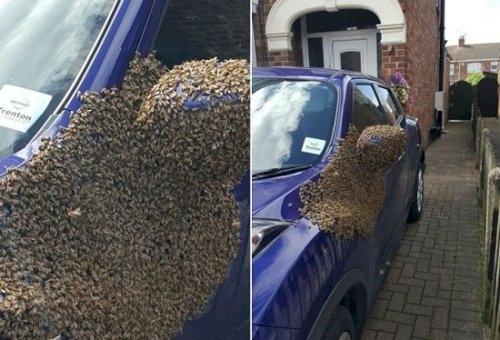 Vứt xe giữa đồng, thanh niên rùng mình hoảng loạn khi nhìn thấy xe-4