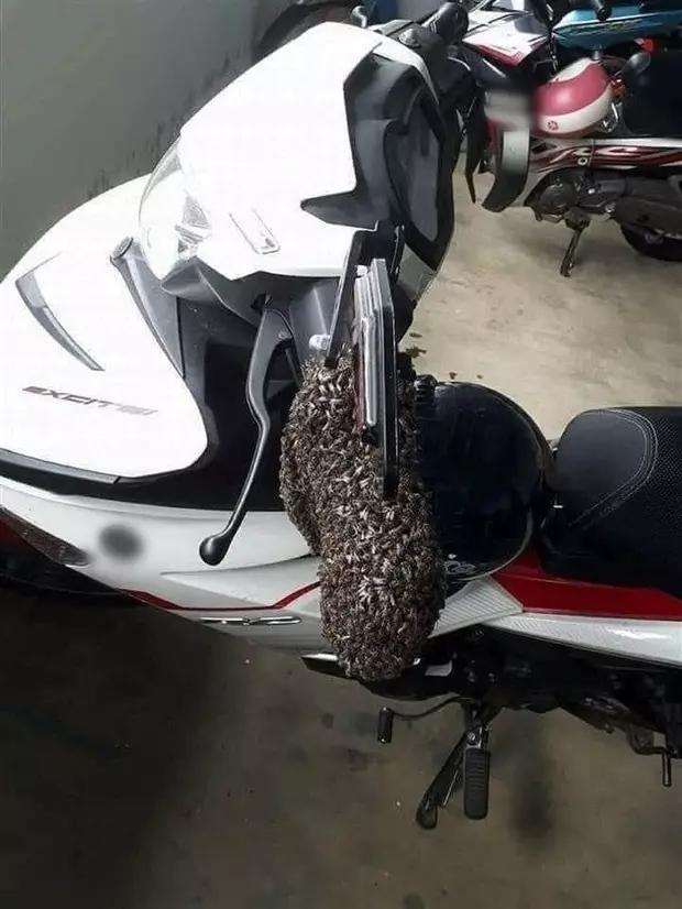 Vứt xe giữa đồng, thanh niên rùng mình hoảng loạn khi nhìn thấy xe-7