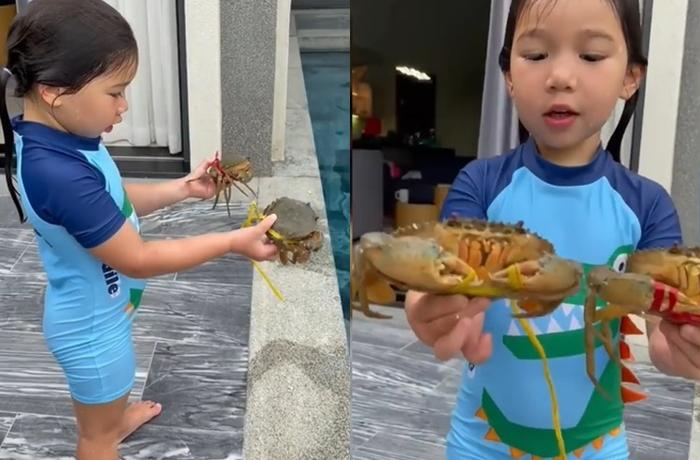 Thực hư Hà Anh mượn động vật xéo xắt Xuân Lan-1