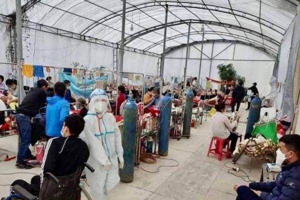 Ăn cả nắm lá ngón tự tử rồi quay clip gửi người yêu nói lời trăng trối-3