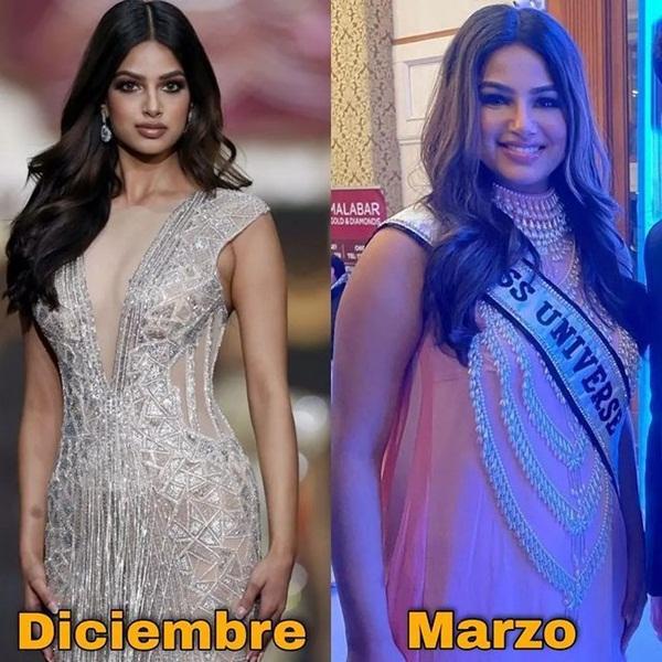 Miss Universe 2021 đáp trả khi bị chê phát tướng, không xứng hoa hậu-1