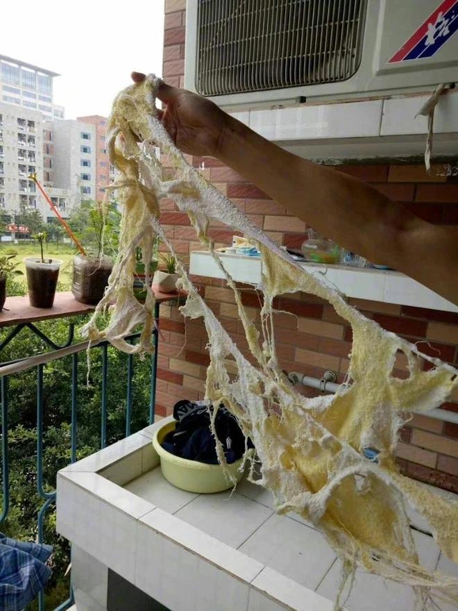 5 hình ảnh đỉnh cao của việc ăn ở bẩn thỉu nhất Trái Đất-2