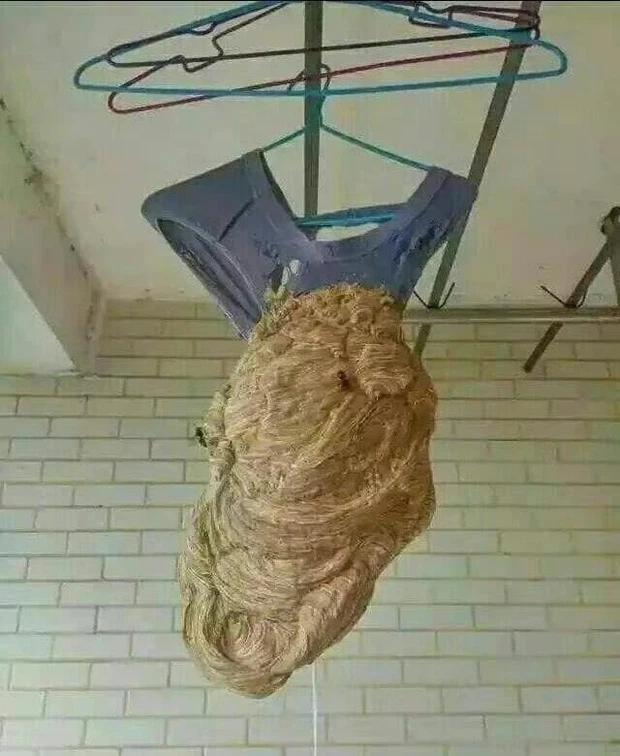 5 hình ảnh đỉnh cao của việc ăn ở bẩn thỉu nhất Trái Đất-4