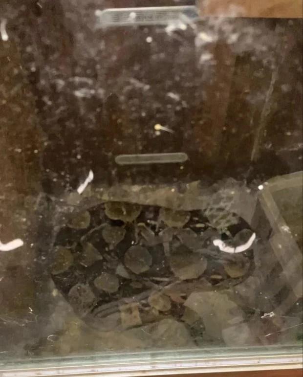 Cặp vợ chồng thất kinh nhận lại nhà sau 2 năm cho thuê-4