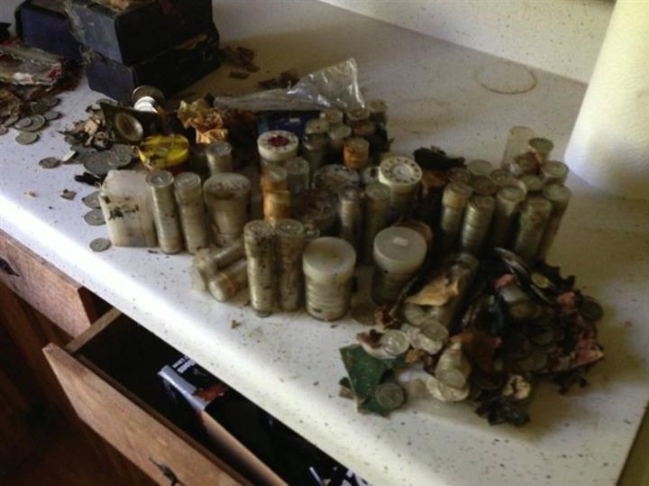 Dọn nhà, anh chàng không dám tin khi phát hiện thứ dưới tấm thảm cũ-7