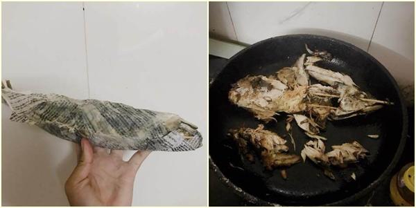 Gái đảm ngớ người khi rán cá ngon thế mà có thứ lại tức tưởi ra đi-4
