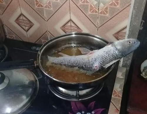Gái đảm ngớ người khi rán cá ngon thế mà có thứ lại tức tưởi ra đi-5