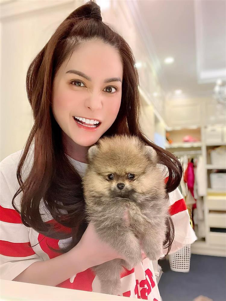 Đoàn Di Băng dùng túi hiệu 400 triệu đựng chó cưng-1