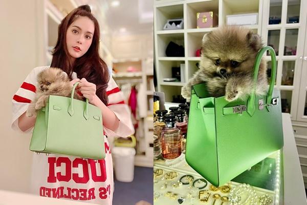 Đoàn Di Băng vô tình lộ nội y khi chơi với chó cưng 52 triệu-12