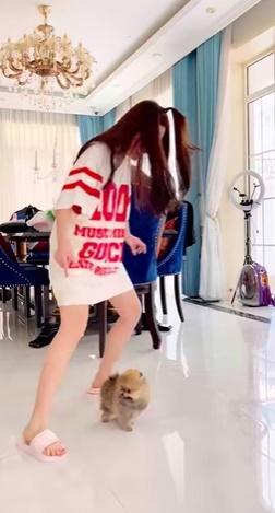 Đoàn Di Băng vô tình lộ nội y khi chơi với chó cưng 52 triệu-3