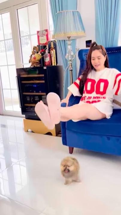 Đoàn Di Băng vô tình lộ nội y khi chơi với chó cưng 52 triệu-6