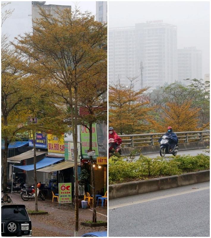 Mải check-in sống ảo, nam thanh niên bị nhảy mất xe máy-6