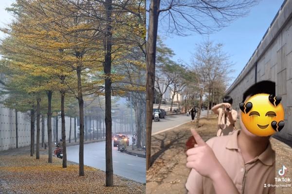 Mặc váy hồng để nổi nhất Hội An, ai ngờ tá hỏa cả binh đoàn chóe lóe-11