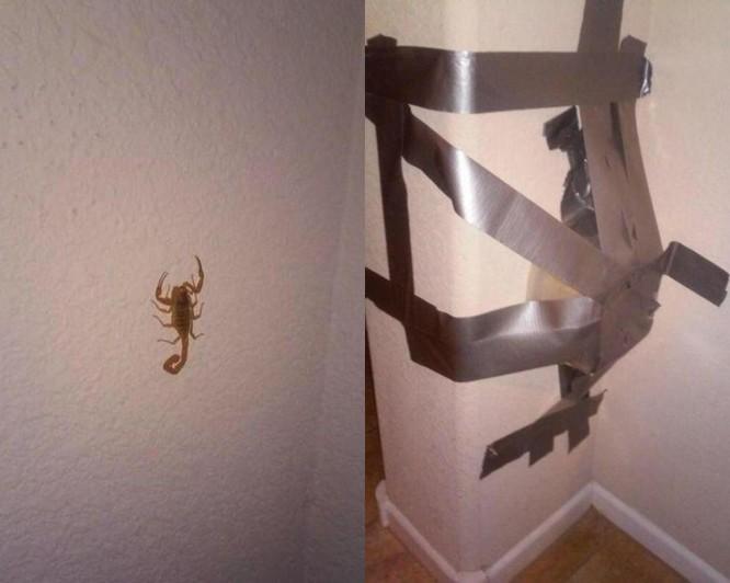 Loạt sáng chế tưởng vô lý lại có lý bất ngờ của những kẻ IQ vô cực-3