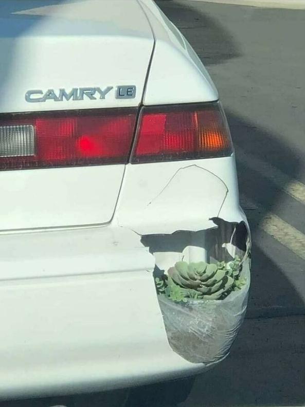 Loạt sáng chế tưởng vô lý lại có lý bất ngờ của những kẻ IQ vô cực-8