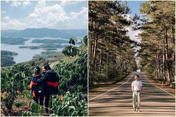 Tọa độ lên hình cực thơ ở Đà Lạt với những cánh quạt gió khổng lồ-12