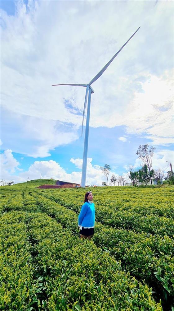 Tọa độ lên hình cực thơ ở Đà Lạt với những cánh quạt gió khổng lồ-4