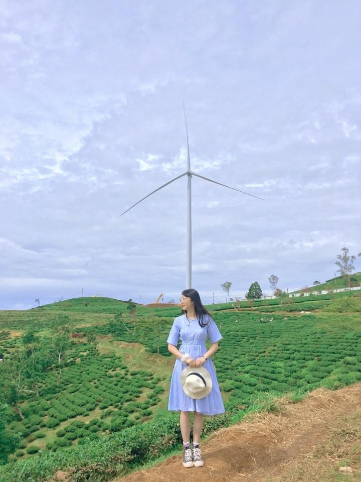 Tọa độ lên hình cực thơ ở Đà Lạt với những cánh quạt gió khổng lồ-5