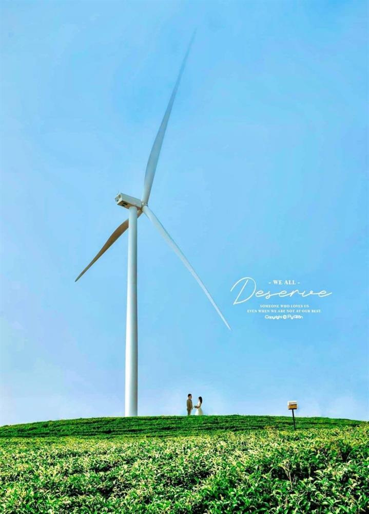 Tọa độ lên hình cực thơ ở Đà Lạt với những cánh quạt gió khổng lồ-6