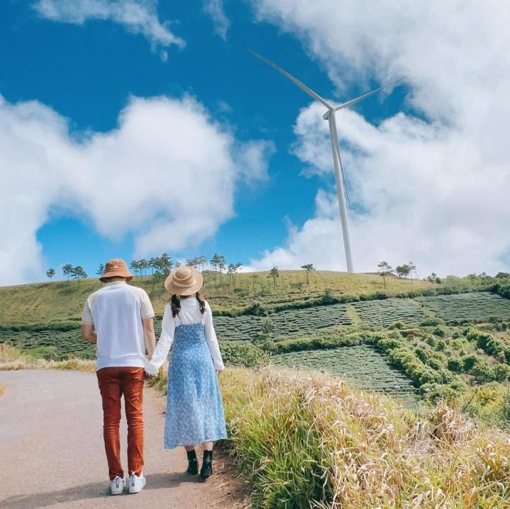 Tọa độ lên hình cực thơ ở Đà Lạt với những cánh quạt gió khổng lồ-8