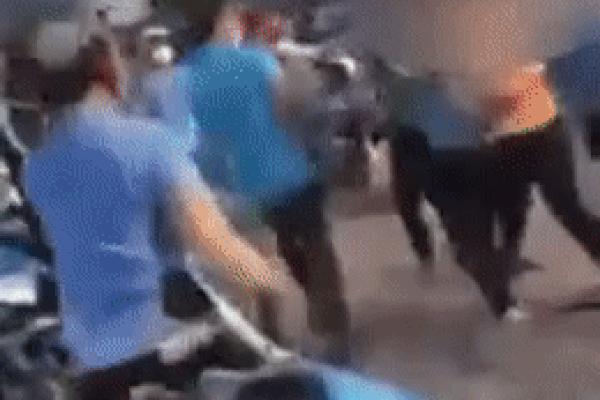 Chồng nữ công nhân đâm 3 người kể lại khoảnh khắc bàng hoàng-3