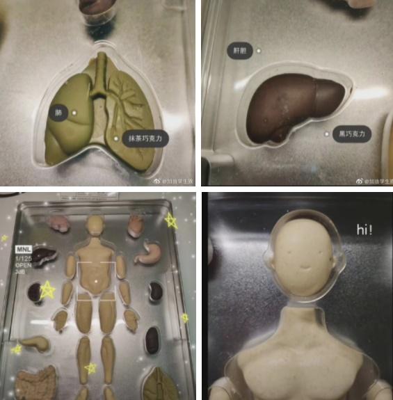 Đỉnh cao tán gái như sinh viên Y dược, soi ý nghĩa khối cô chết mê-1