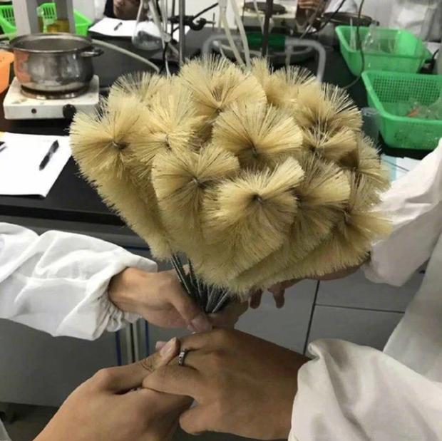 Đỉnh cao tán gái như sinh viên Y dược, soi ý nghĩa khối cô chết mê-2