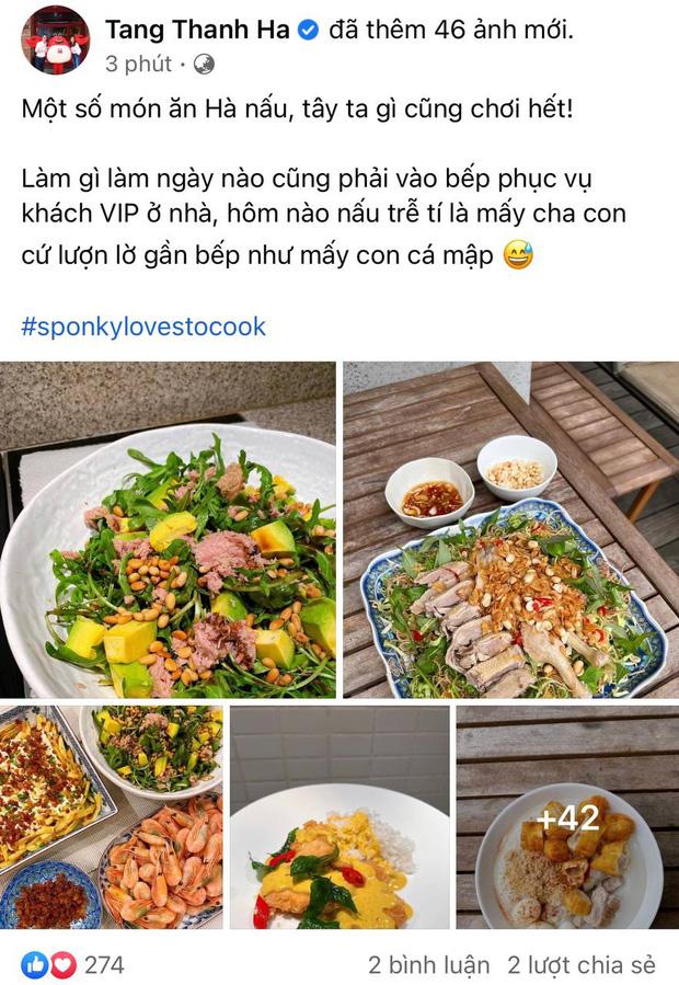 Vì sao Tăng Thanh Hà phải bày biện nấu 7749 món ăn như nhà hàng?-6