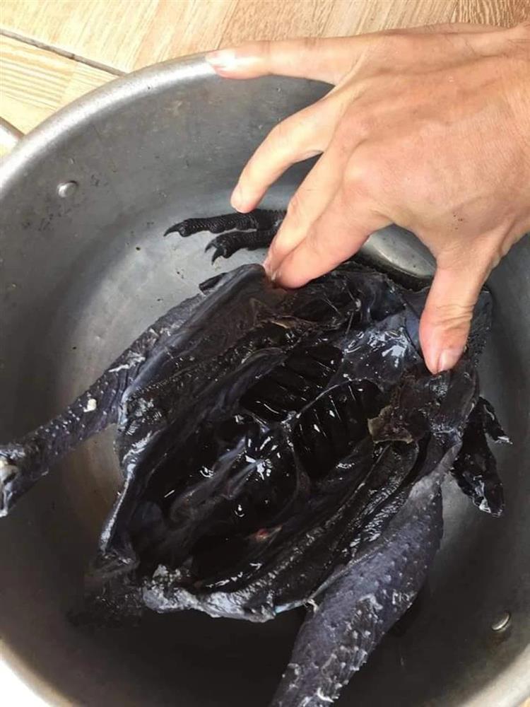 Con gà đen như nhúng nhựa đường có giá tới 45 triệu đồng/con-3