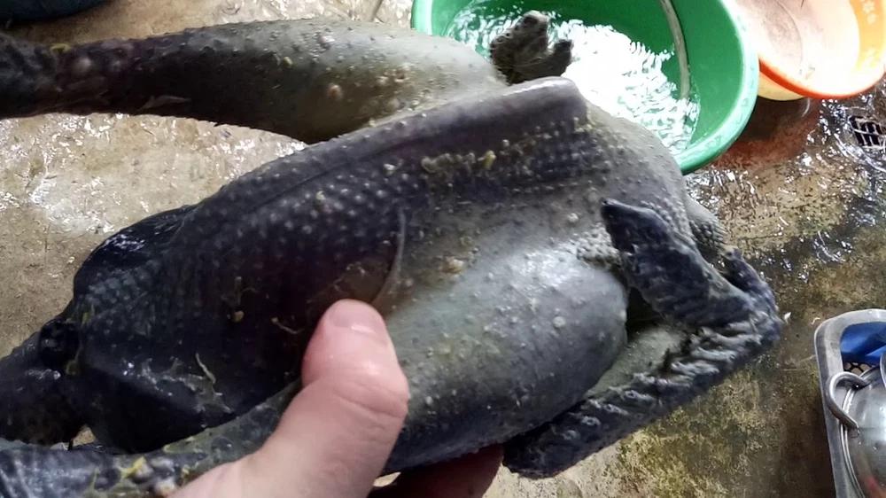 Con gà đen như nhúng nhựa đường có giá tới 45 triệu đồng/con-7