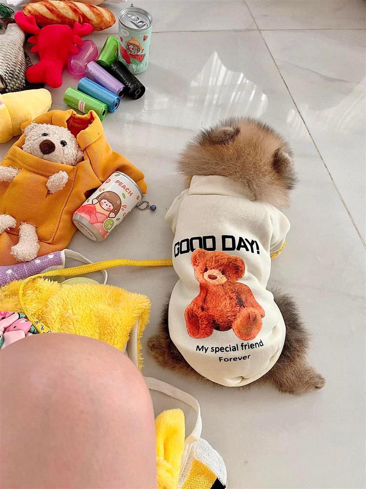 Đoàn Di Băng vô tình lộ nội y khi chơi với chó cưng 52 triệu-10