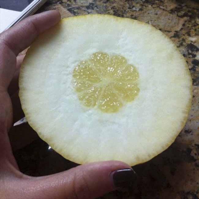 Các kiểu làm ăn nửa vời, treo dê bán chó khiến thực khách méo mặt-8