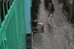 Clip sự liều lĩnh của trộm chó: Tấn công tối tăm mặt mũi chủ nhà