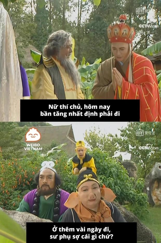 Trư Bát Giới và những màn cà khịa sư phụ đỉnh cao trong Tây Du Ký-2