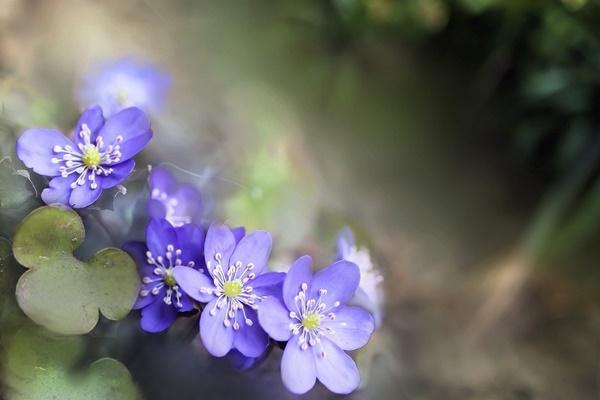 Sinh vào 4 ngày Âm lịch này, phúc lộc không thiếu, gia đình hưng vượng-4