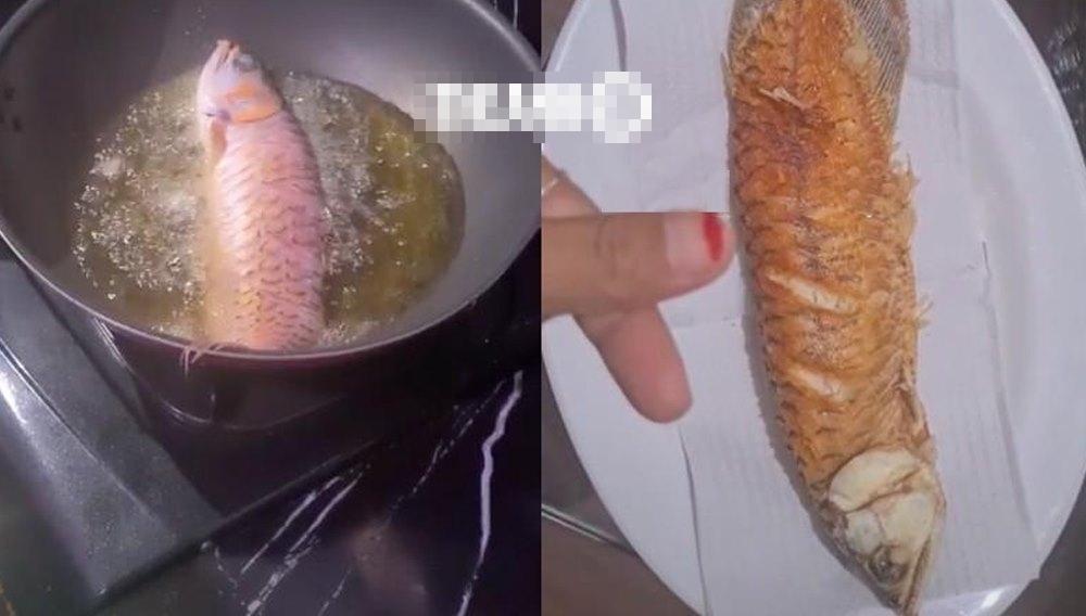 Khi chồng mê cá hơn vợ và cái kết tan nát cái nịt cũng chẳng còn-6