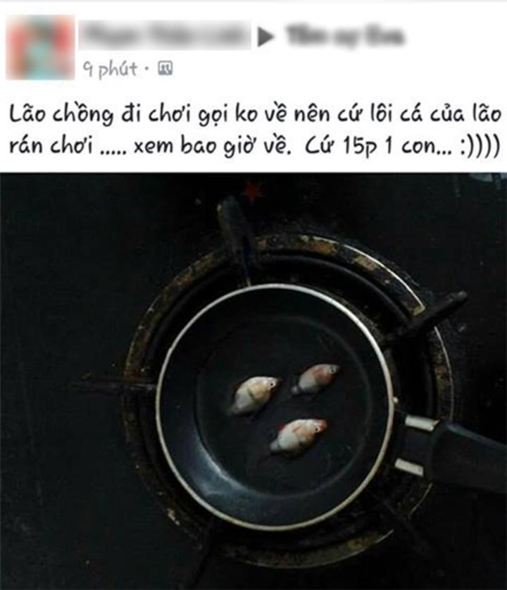 Khi chồng mê cá hơn vợ và cái kết tan nát cái nịt cũng chẳng còn-7