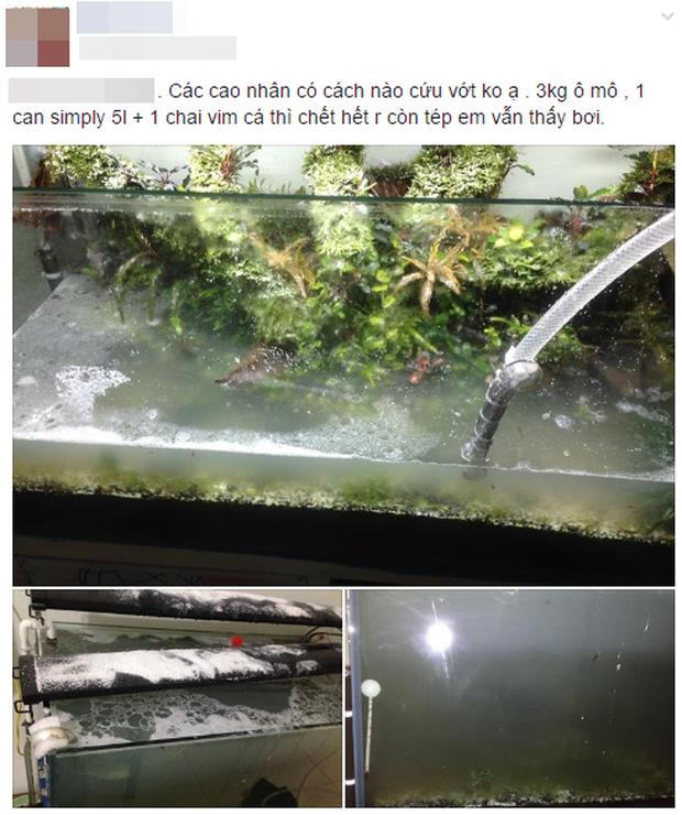 Khi chồng mê cá hơn vợ và cái kết tan nát cái nịt cũng chẳng còn-8