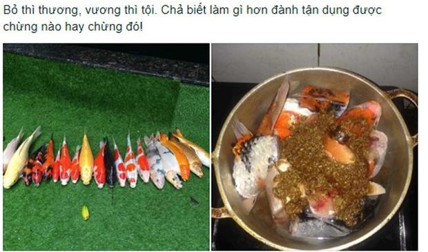 Khi chồng mê cá hơn vợ và cái kết tan nát cái nịt cũng chẳng còn-9