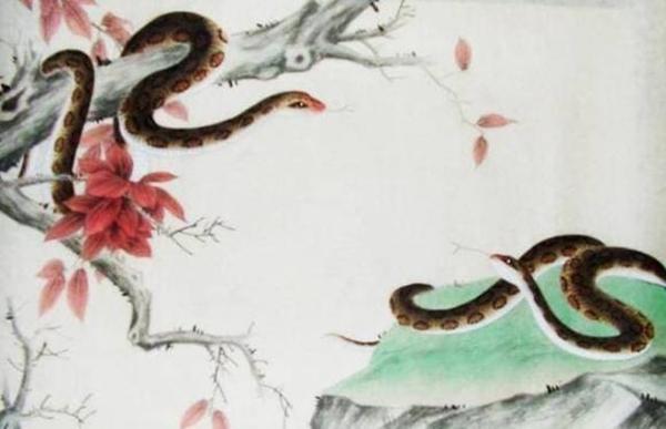 Tuổi Rắn sinh vào tháng 4 trời sinh giàu sang, không phải lo toan-3